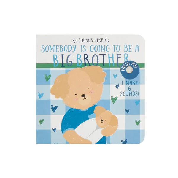 Someone is going to be a big brother book