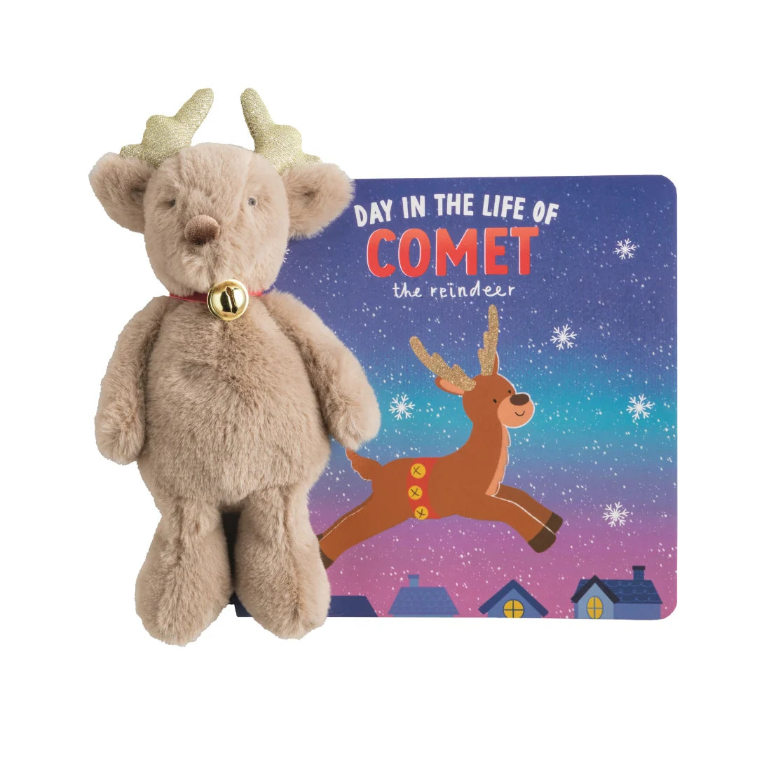Day in the life of Comet Stuffie/Book