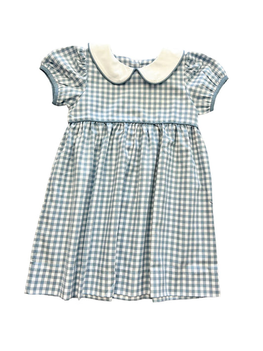 Blue gingham Dress